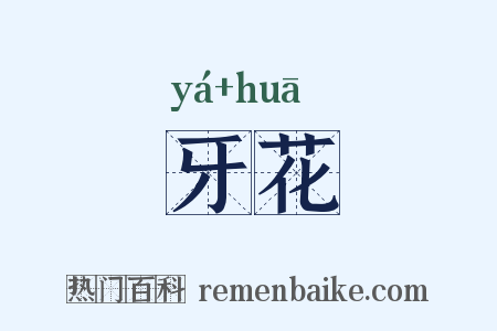牙花是什么意思的图片